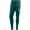 adidas FC Arsenal Trainingshose 2025/26 Herren KB1835 - aurora ivy XS