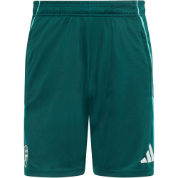 adidas FC Arsenal Trainingsshorts 2025/26 Herren KB1838 - aurora ivy XS