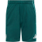 adidas FC Arsenal Trainingsshorts 2025/26 Herren KB1838 - aurora ivy XS