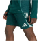 adidas FC Arsenal Trainingsshorts 2025/26 Herren KB1838 - aurora ivy XS