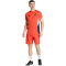 adidas FC Bayern München Trainingstrikot 2025/26 Herren JZ6318 - hi-res red XS