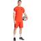 adidas FC Bayern München Competition T-Shirt 2025/26 Herren JZ6342 - hi-res red M