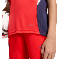 adidas FC Bayern München Competition Trainingstrikot...