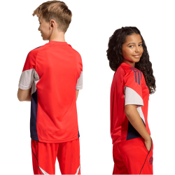 adidas FC Bayern München Competition Trainingstrikot...