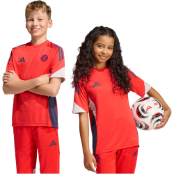 adidas FC Bayern München Competition Trainingstrikot...