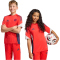adidas FC Bayern München Competition Trainingstrikot 2025/26 Kinder JZ6321 - hi-res red 128