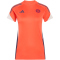 adidas FC Bayern München Competition Trainingstrikot 2025/26 Damen JZ6320 - hi-res red S