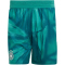 adidas DFB Deutschland Authentic Heim Torwartshorts 2026 Herren JM1406 - active green 6 (M)