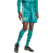 adidas DFB Deutschland Authentic Heim Torwartshorts 2026 Herren JM1406 - active green 6 (M)