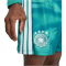 adidas DFB Deutschland Authentic Heim Torwartshorts 2026 Herren JM1406 - active green 6 (M)