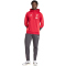 adidas FC Liverpool Trainings-Hoodie 2025/26 Herren KB1464 - strawberry red S
