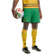 adidas JFF Jamaika Heimshorts 2026 Herren JM8306 - vivid green M