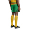 adidas JFF Jamaika Heimshorts 2026 Herren JM8306 - vivid green M