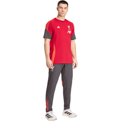 adidas FC Liverpool T-Shirt 2025/26 Herren KB1463 -...