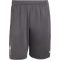 adidas FC Liverpool Trainingsshorts 2025/26 Herren KB1471 - utility black XS