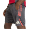 adidas FC Liverpool Trainingsshorts 2025/26 Herren KB1471 - utility black XS