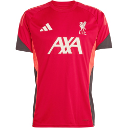 adidas FC Liverpool Competition Trainingstrikot 2025/26 Herren KB1466 - strawberry red XS