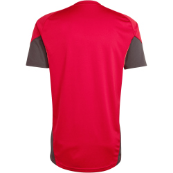 adidas FC Liverpool Competition Trainingstrikot 2025/26 Herren KB1466 - strawberry red XS