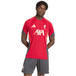 adidas FC Liverpool Competition Trainingstrikot 2025/26 Herren KB1466 - strawberry red XS