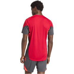 adidas FC Liverpool Competition Trainingstrikot 2025/26 Herren KB1466 - strawberry red XS