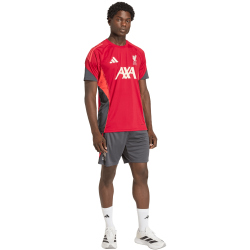 adidas FC Liverpool Competition Trainingstrikot 2025/26 Herren KB1466 - strawberry red XS