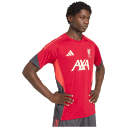 adidas FC Liverpool Competition Trainingstrikot 2025/26 Herren KB1466 - strawberry red XS