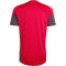 adidas FC Liverpool Competition Trainingstrikot 2025/26 Herren KB1466 - strawberry red XS