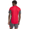 adidas FC Liverpool Competition Trainingstrikot 2025/26 Herren KB1466 - strawberry red XS