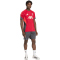 adidas FC Liverpool Competition Trainingstrikot 2025/26 Herren KB1466 - strawberry red XS