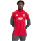 adidas FC Liverpool Trainings-Sweatshirt 2025/26 Herren KB1473 - strawberry red XS