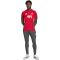adidas FC Liverpool Trainingshose 2025/26 Herren KB1469 - utility black S