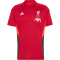 adidas FC Liverpool Competition Poloshirt 2025/26 Herren KB1453 - strawberry red XS