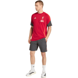 adidas FC Liverpool Downtime Sweatshorts 2025/26 Herren KB1451 - utility black XS