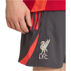 adidas FC Liverpool Downtime Sweatshorts 2025/26 Herren KB1451 - utility black XS