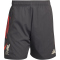 adidas FC Liverpool Downtime Sweatshorts 2025/26 Herren KB1451 - utility black XS