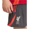 adidas FC Liverpool Downtime Sweatshorts 2025/26 Herren KB1451 - utility black XS