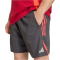 adidas FC Liverpool Downtime Sweatshorts 2025/26 Herren KB1451 - utility black L