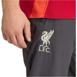 adidas FC Liverpool Präsentationshose 2025/26 Herren KB1455 - utility black XS