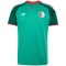 adidas FAF Algerien Auswärtstrikot 2026 Herren JN4456 - court green S