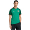 adidas FAF Algerien Auswärtstrikot 2026 Herren JN4456 - court green S