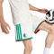 adidas FAF Algerien Heimshorts 2026 Herren JN4461 - chalk white XS