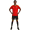 adidas RBFA Belgien Heimshorts 2026 Herren JM8385 - black/bold gold S