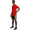 adidas RBFA Belgien Heimshorts 2026 Herren JM8385 - black/bold gold S