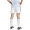 adidas RBFA Belgien Authentic Auswärtsshorts 2026 Herren JM8383 - white/black S