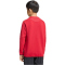 adidas Tiro Tech Crew Sweatshirt Kinder KD3333 - team power red 2/black 116