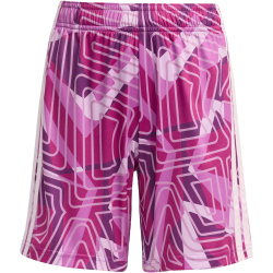adidas Tiro 26 Competiton Torwartshorts Kinder KC5470 -...