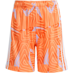 adidas Tiro 26 Competiton Torwartshorts Kinder KC5466 -...
