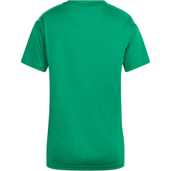 adidas Tiro 26 League Trikot Damen KB3749 - team green/white S