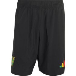 adidas JFF Jamaika Tiro Tech Trainingsshorts 2026 Herren...