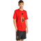 adidas RBFA Belgien DNA Graphic T-Shirt 2026 Herren JZ2220 - red L